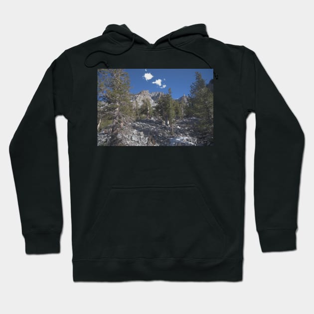 850_6898 Hoodie by wgcosby